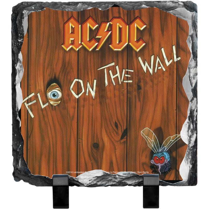 Fly On The Wall Photo Slate